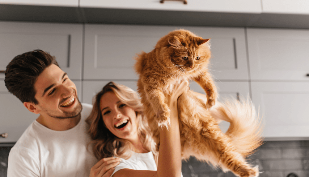 Why Pet Insurance is Essential for Every Pet Owner