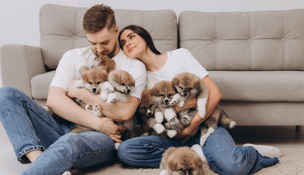 Pet Insurance Basics: What Every Pet Parent Should Know