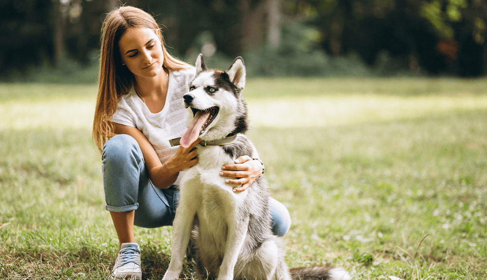 Tailtrust’s Mission: Making Pet Insurance Transparent and Accessible